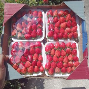 imagem do produto Morango especial (caixa)
