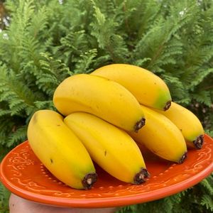 imagem do produto BANANA CATURRA