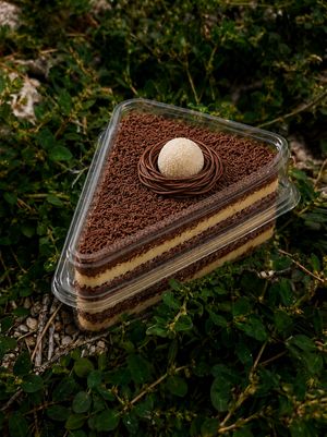 imagem do produto Ninho com chocolate 