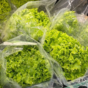 imagem do produto Alface crespa (UNIDADE)