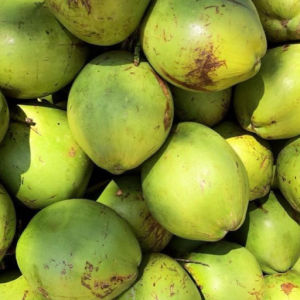 imagem do produto Coco verde natural 