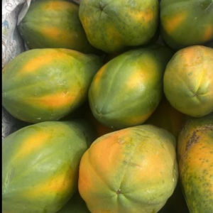 imagem do produto Mamão formosa 