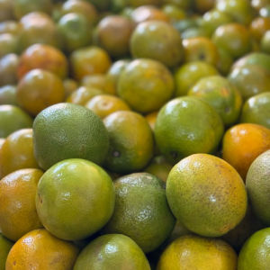 imagem do produto Laranja
