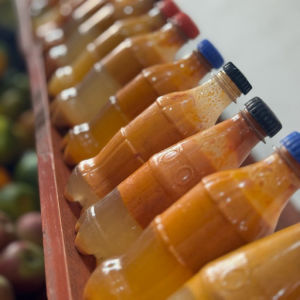 imagem do produto Conserva de pimenta UNIDADE