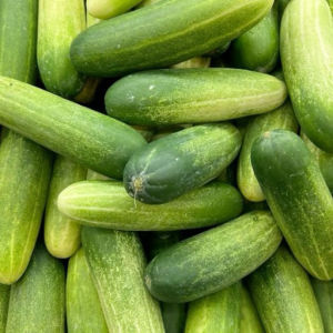 imagem do produto Pepino de roça (UNIDADE)