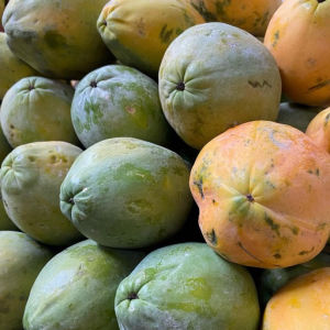 imagem do produto Mamão papaia 