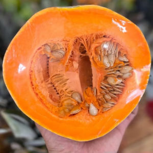 imagem do produto Abóbora de leite (TALHADA)