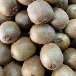imagem do produto Kiwi