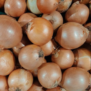 imagem do produto Cebola 