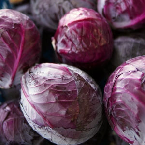 imagem do produto Repolho roxo 