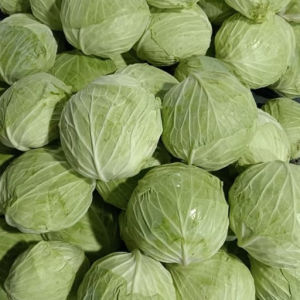 imagem do produto Repolho verde 