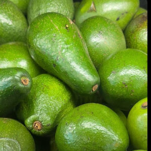 imagem do produto Abacate 