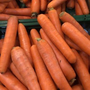 imagem do produto Cenoura 