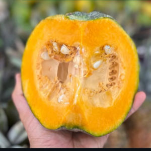 imagem do produto Abóbora taqueira (TALHADA)