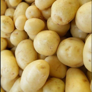imagem do produto Batata inglesa 