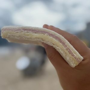 imagem do produto Miga presunto e queijo x3