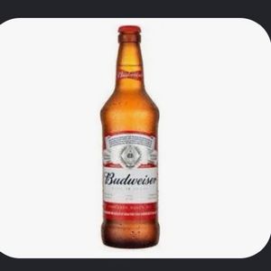 imagem do produto Budweiser 330ml