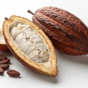 imagem do produto Cacau com leite 500ml