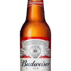 imagem do produto Budweiser long neck