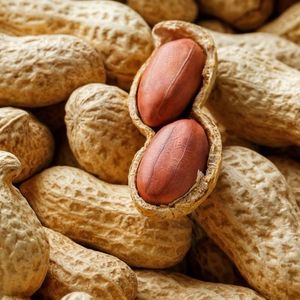 imagem do produto Cacau com amendoim e leite 500ml