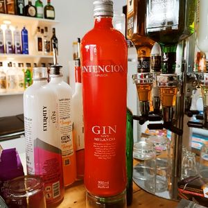 imagem do produto Gin Intencion - Melancia