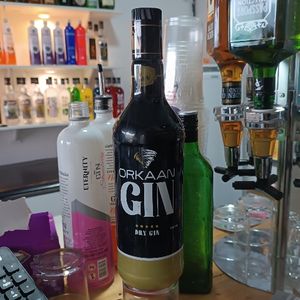 imagem do produto Orkaan - GIN Tradicional