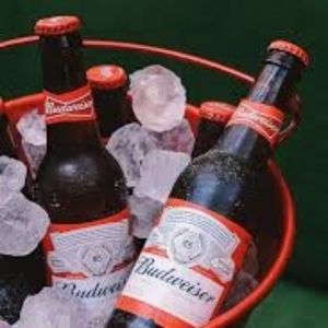 imagem do produto Combo de Budweiser 