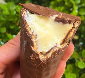 imagem do produto Cone Ninho
