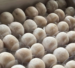 imagem do produto 50 brigadeiros surpresa de uva