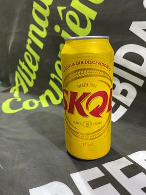 imagem do produto SKOL