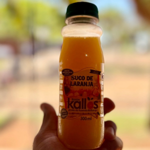 imagem do produto Suco De Laranja Kallos 300Ml