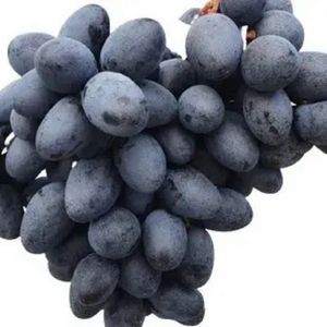 imagem do produto UVA c/ caroço 
