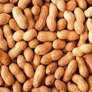 imagem do produto Amendoim seco (branco)
