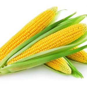 imagem do produto Milho verde 