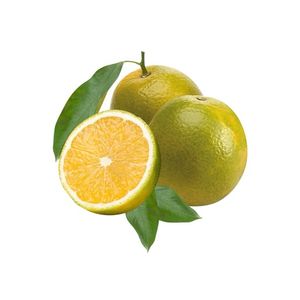 imagem do produto Laranja pera 