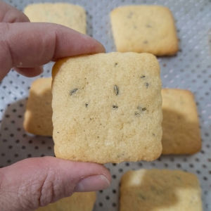 imagem do produto biscoito fubá com erva doce