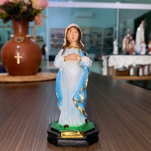 imagem do produto Nossa senhora grávida 