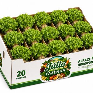 imagem do produto Alface hidropônica com 20unid 