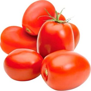 imagem do produto Tomate pizzadoro na cor vermelha 