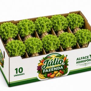 imagem do produto Alface hidropônica com 10Unid 