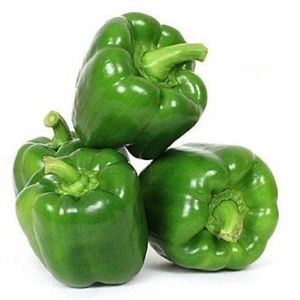 imagem do produto PIMENTÃO VERDE 