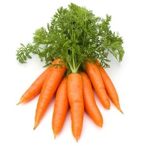 imagem do produto CENOURA 