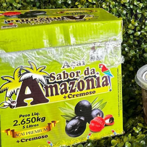 imagem do produto CAIXA 5L ACÁI + CREMOSO