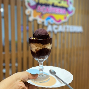imagem do produto Açaí zero 300 ml