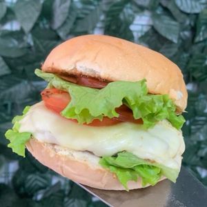 imagem do produto X Salada