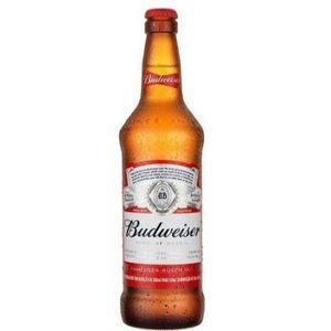 imagem do produto Budweiser garrafa 330ml long neck