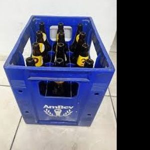 imagem do produto Skol garrafa Litrão caixa com 12