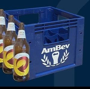 imagem do produto Skol Garrafa Litrão Caixa 12 unidades