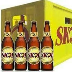 imagem do produto Skol garrafa 600ml caixa com 24