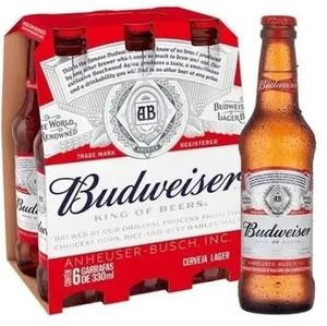 imagem do produto Budweiser garrafa 330ml long neck fardo com 6